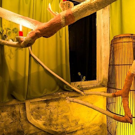 Dao Anh Khanh Tree House هانوي المظهر الخارجي الصورة