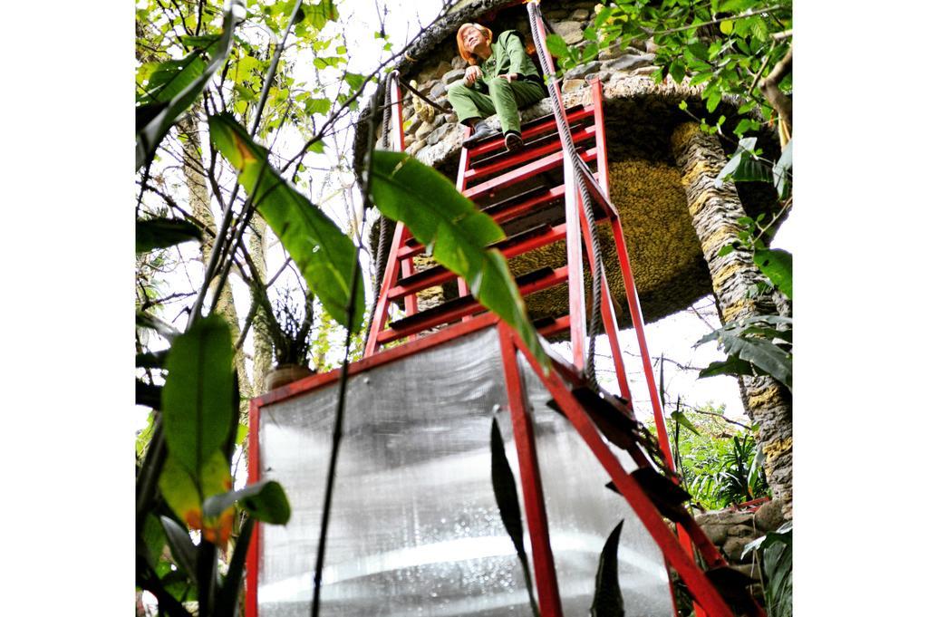 Dao Anh Khanh Tree House هانوي الغرفة الصورة