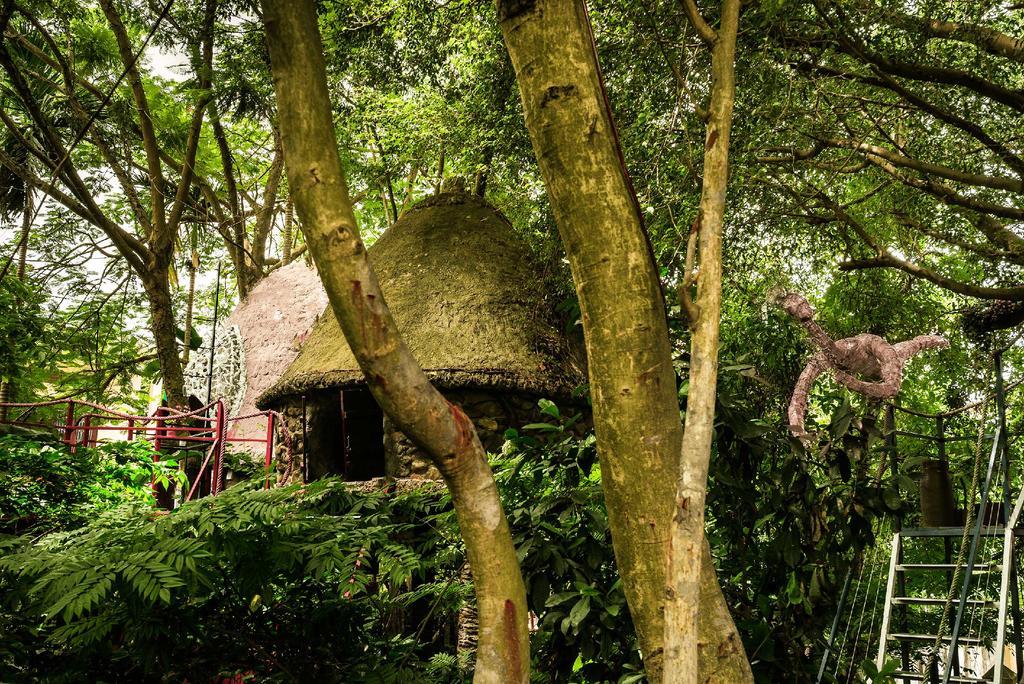 Dao Anh Khanh Tree House هانوي المظهر الخارجي الصورة