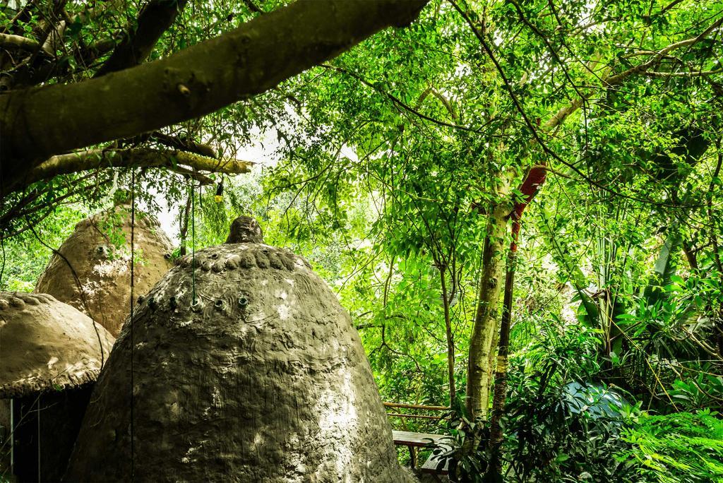Dao Anh Khanh Tree House هانوي المظهر الخارجي الصورة