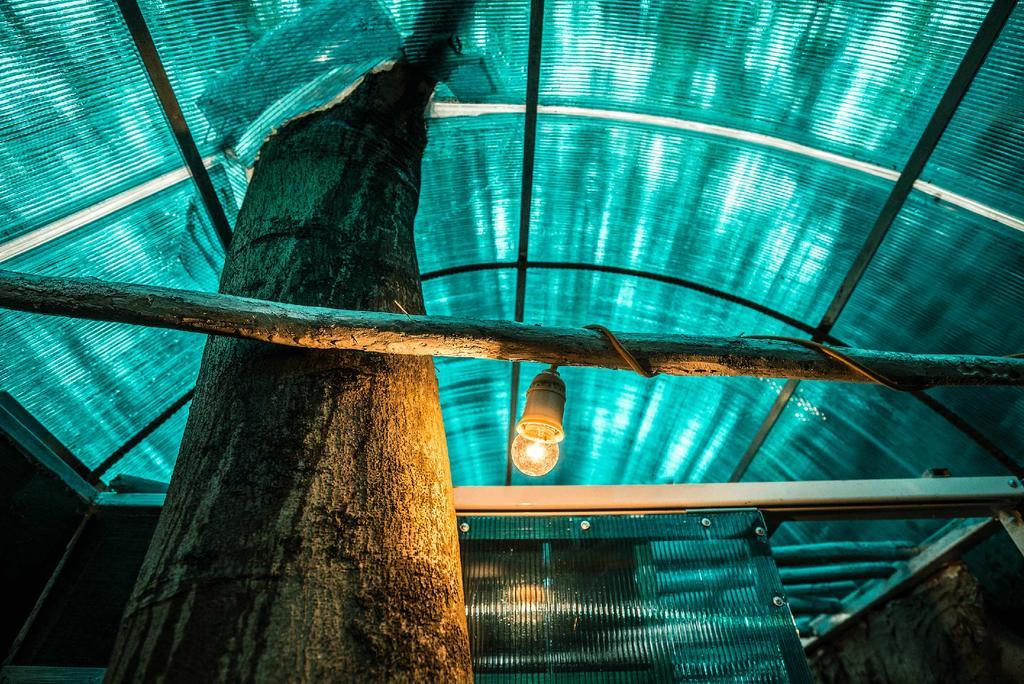 Dao Anh Khanh Tree House هانوي المظهر الخارجي الصورة