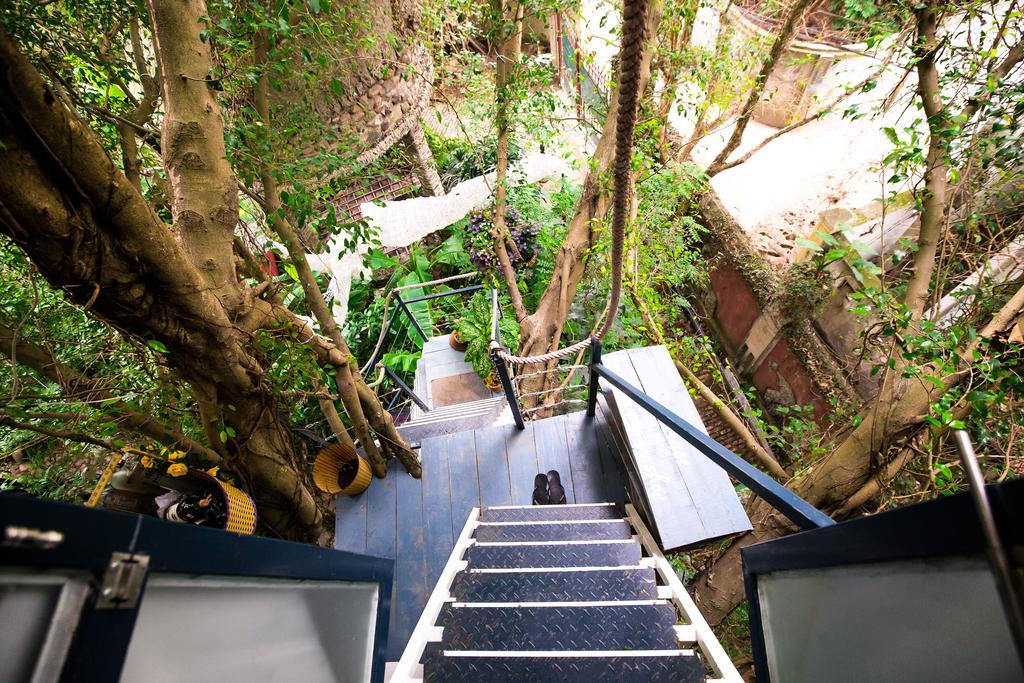 Dao Anh Khanh Tree House هانوي المظهر الخارجي الصورة