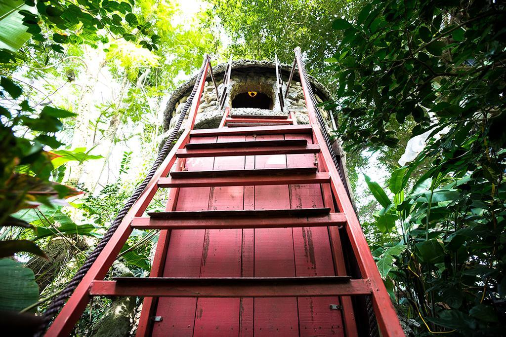 Dao Anh Khanh Tree House هانوي المظهر الخارجي الصورة
