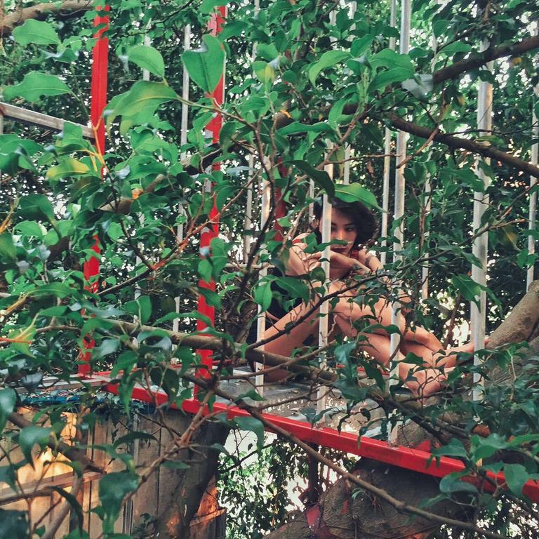 Dao Anh Khanh Tree House هانوي المظهر الخارجي الصورة