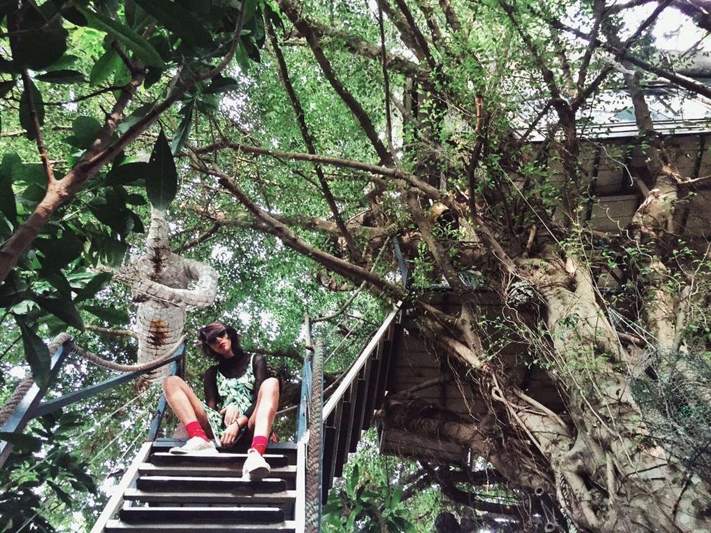 Dao Anh Khanh Tree House هانوي المظهر الخارجي الصورة