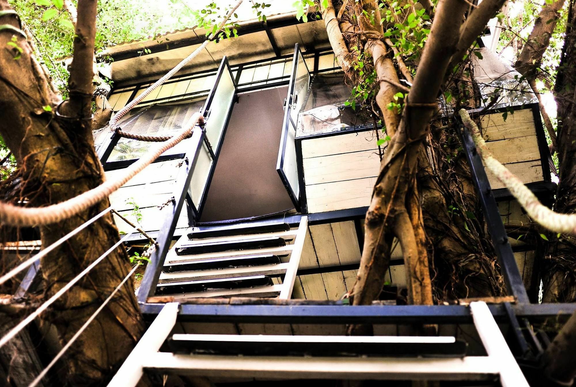Dao Anh Khanh Tree House هانوي المظهر الخارجي الصورة